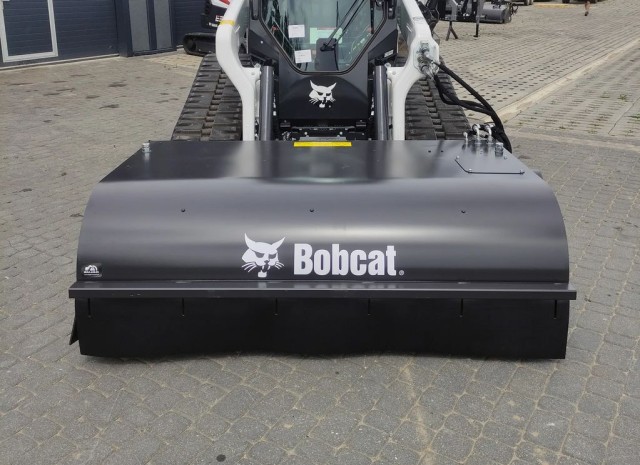 bobcat