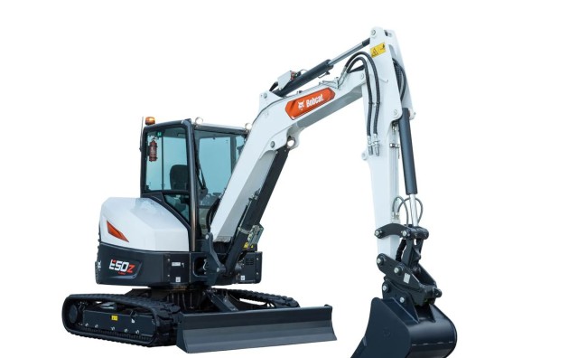 bobcat